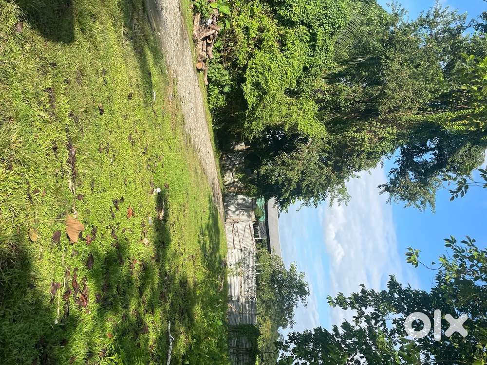 Land sale (urgent )