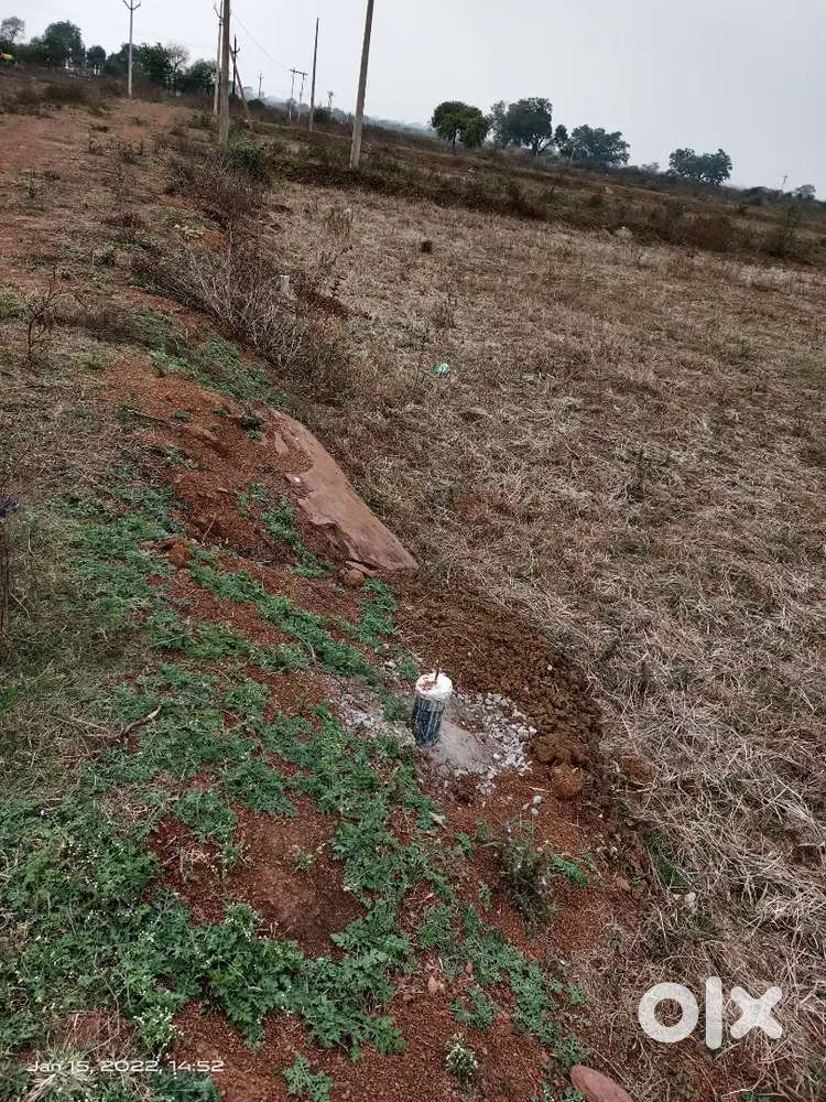 Non diverted plot TILASARA Chakarbhata me