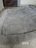 Dog bed large