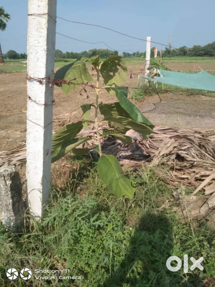 Makrain petrol pump ke piche road se 300mtr andar