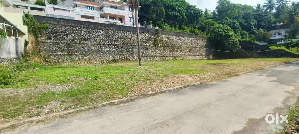 15 Lakhs/Cent Near Medical college Pothujanam Lane...