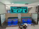 Fish Spa Stall ( Running Business )  For Sale..