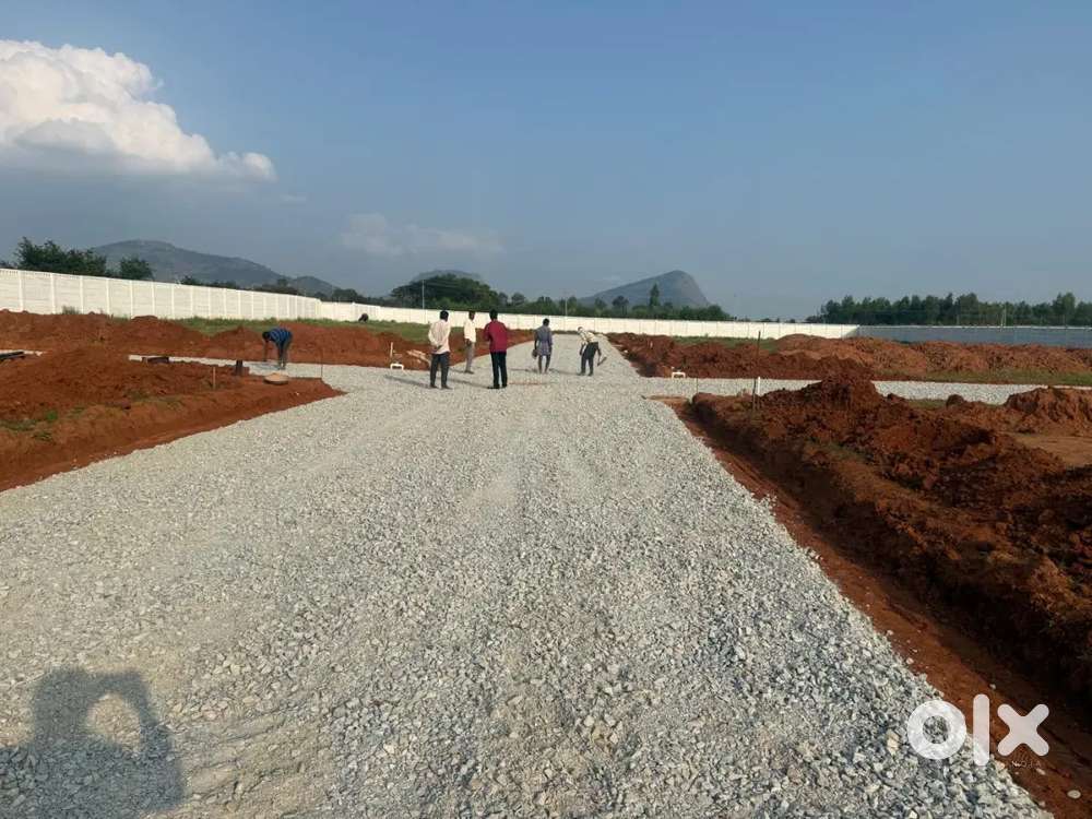 Best investment farm Land and farm house