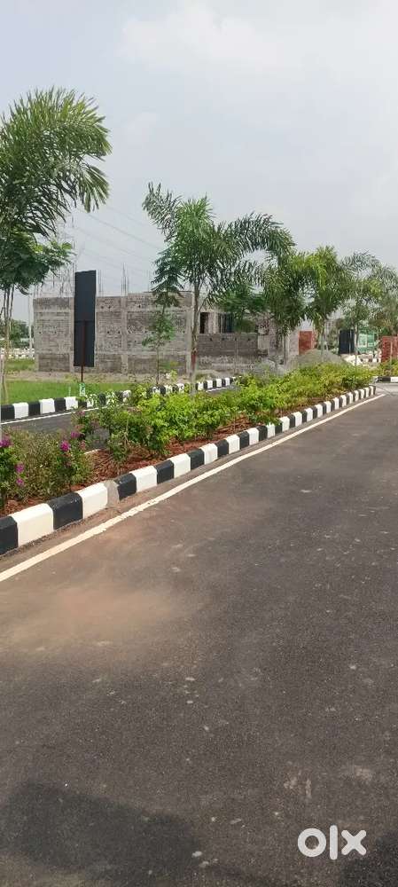 Luxurious layout REDHILLS