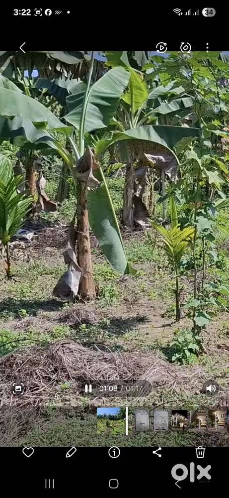 Plots for sell near Baruah tiniali