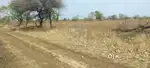 PRIME 5.5 ACRE AGRICULTURAL LAND FOR SALE IN AMBODA