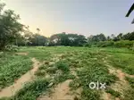 50 CENT ORGINAL LAND IN ALUVA NEAR ALANGAD MAIN ROAD 2ND PLOT
