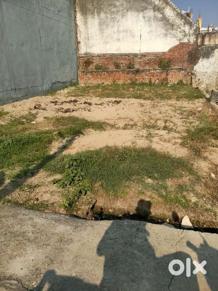 Chaudhari Charan Singh colony Roorkee Men road se 200 meter gali band