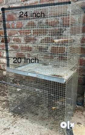 Total 8 cages - 24 inch by 20 inch cage with single tray.