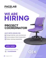 Project manager