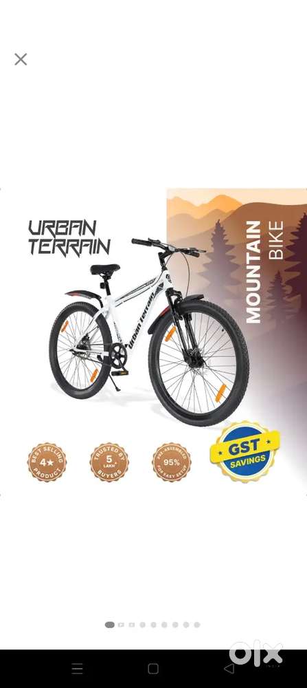 Mountain bike