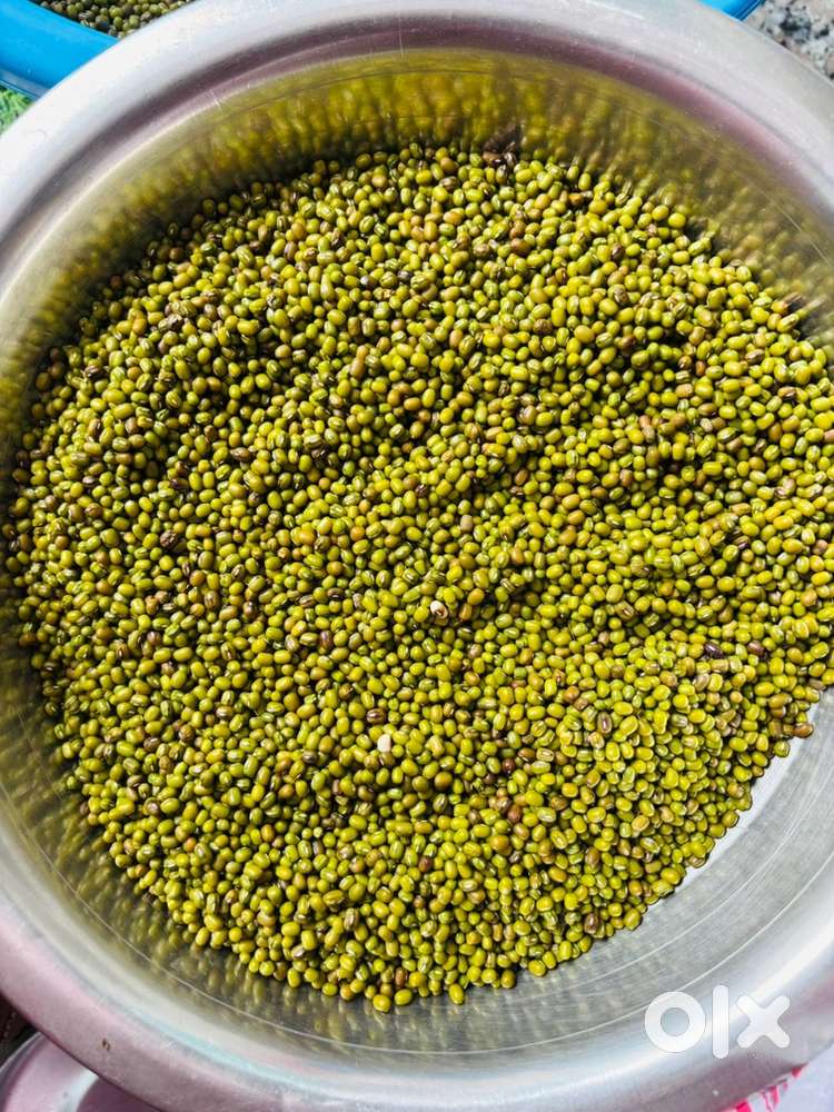 हरा मूंग ( desi khet moong) 85 rs. Per kg