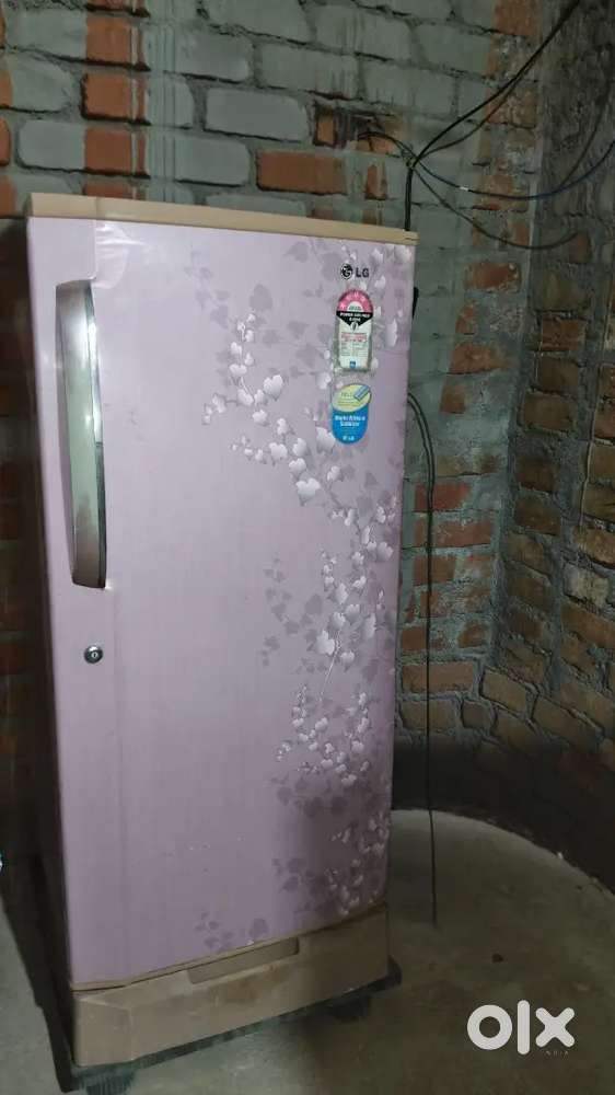 All good perfect
LG Single Door 215 Litres Refrigerator (Pink Blossom)