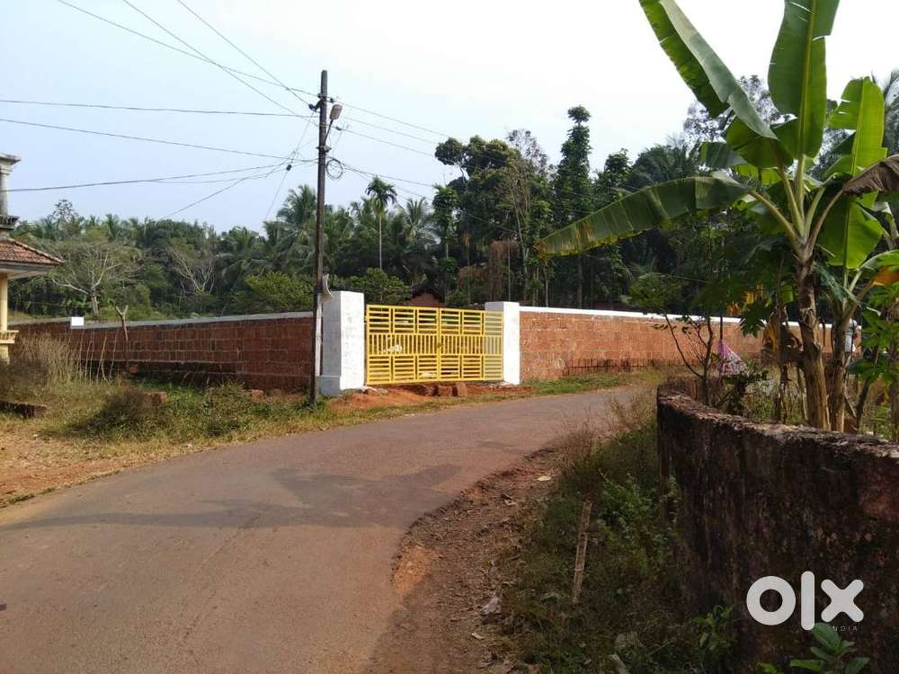 24 cent Residential plot  at Neruvampuram town Payangadi for sale