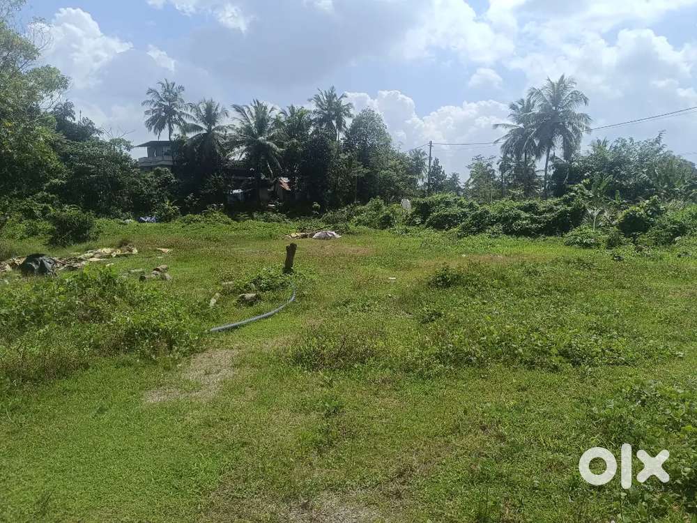 Plain land for rent in thevakkal manalimukku road