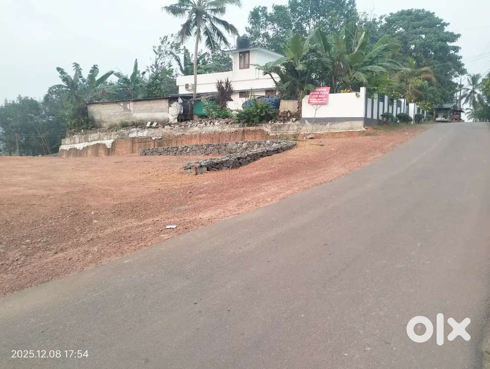 Thripunithura Thiruvankulam high way plot for sale
