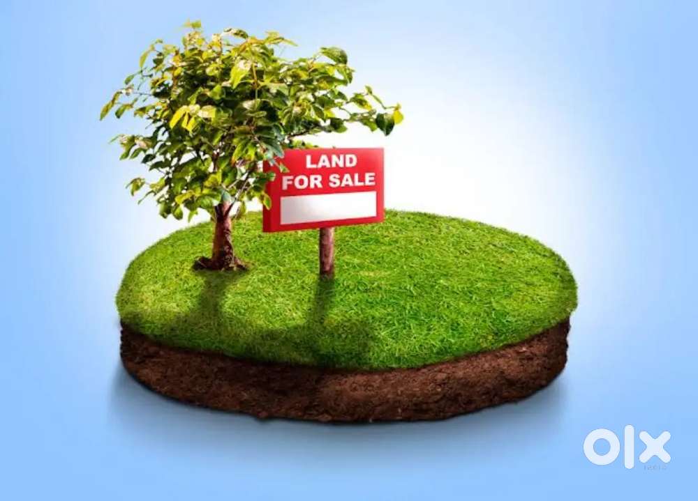 SC Plot for Sale On Chaurpur Main Road