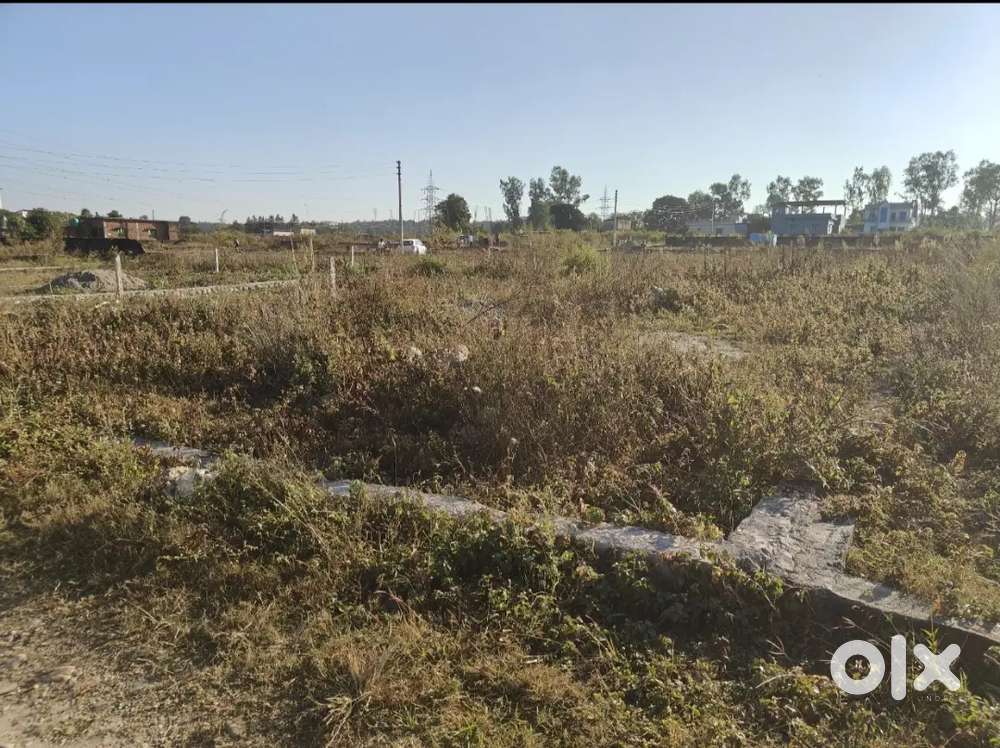 200 gaj plot sherpur