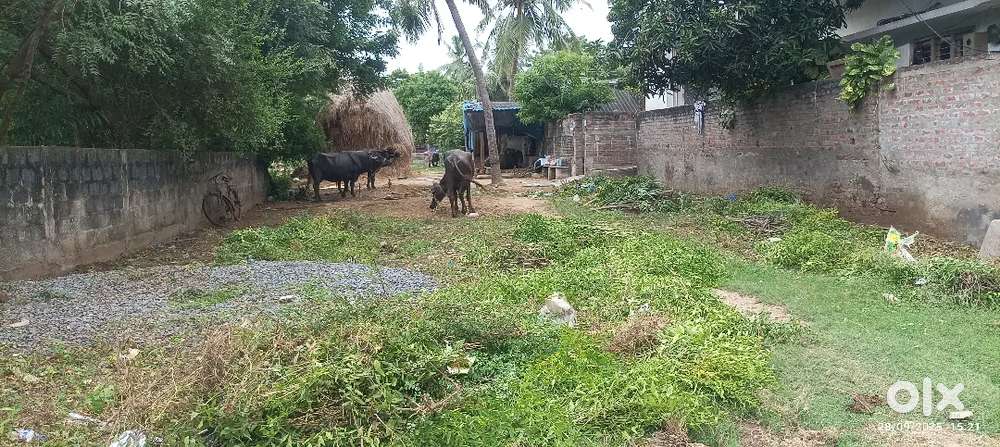 Open plot in Repalle town for sale
