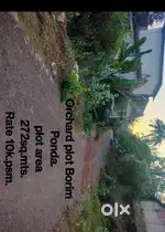 Orchard plot Borim
