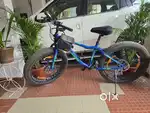Raleigh Big Sam Fat bike