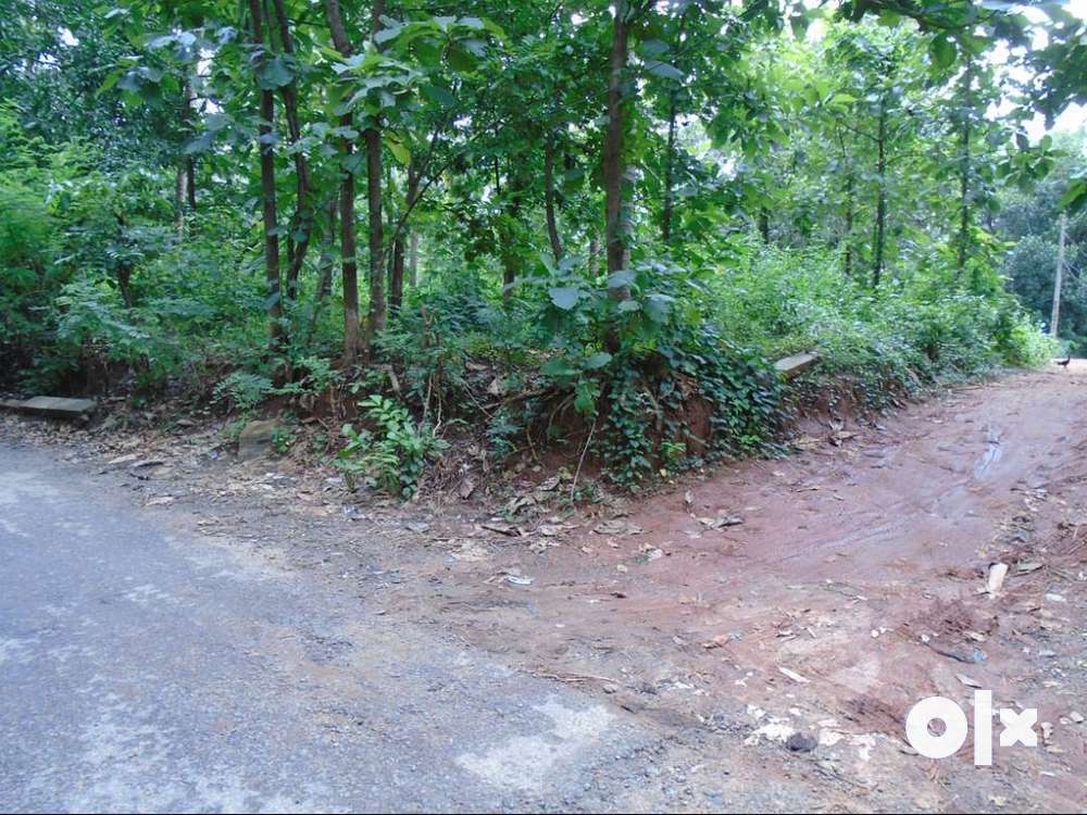 57.5 cent Residetial land for sale at Malampuzha,Palakkad.