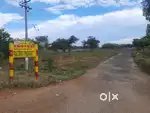 40×120 Eastfacing corner site for sale