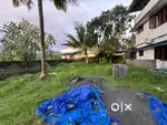 4 CENT PLOT FOR SALE  ALUVA THOTTMUGAM CENT 6.50 LAKHS