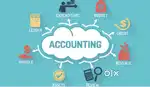 Junior Accountant for Whitefield