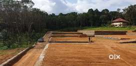 PLOTS 1 LAKH PER CENT NEAR PONKUNNAM PAMPADY ROUTE (via KOORALI)