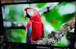 (Lloyd )company :80 cm (32 inch) HD Ready LED Smart)