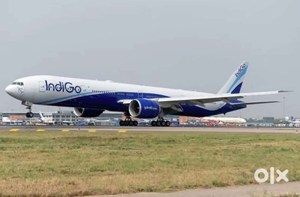 Fresher Male, Female Candidate Apply Now Ground Staff Jobs In IndiGo