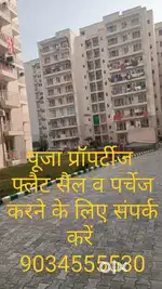 Sector 14 rent available house