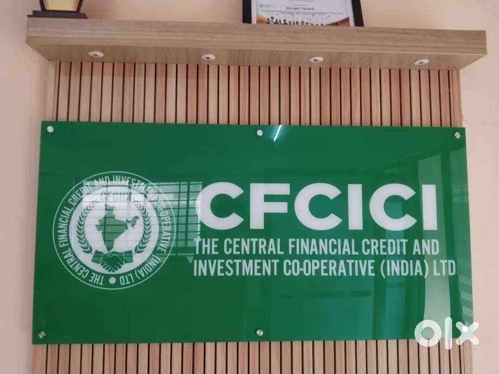 Collection Executive