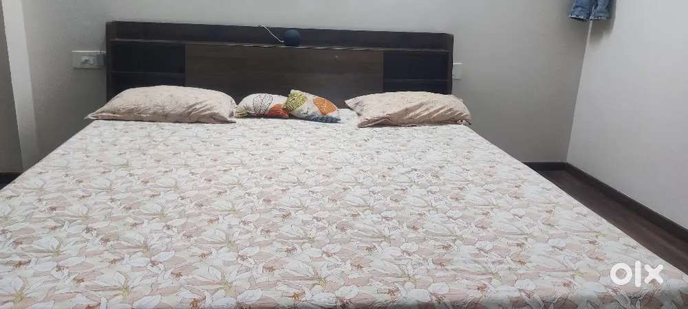 Wakefit bed without mattress