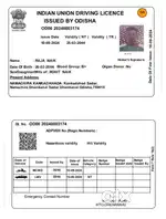 I am driver
