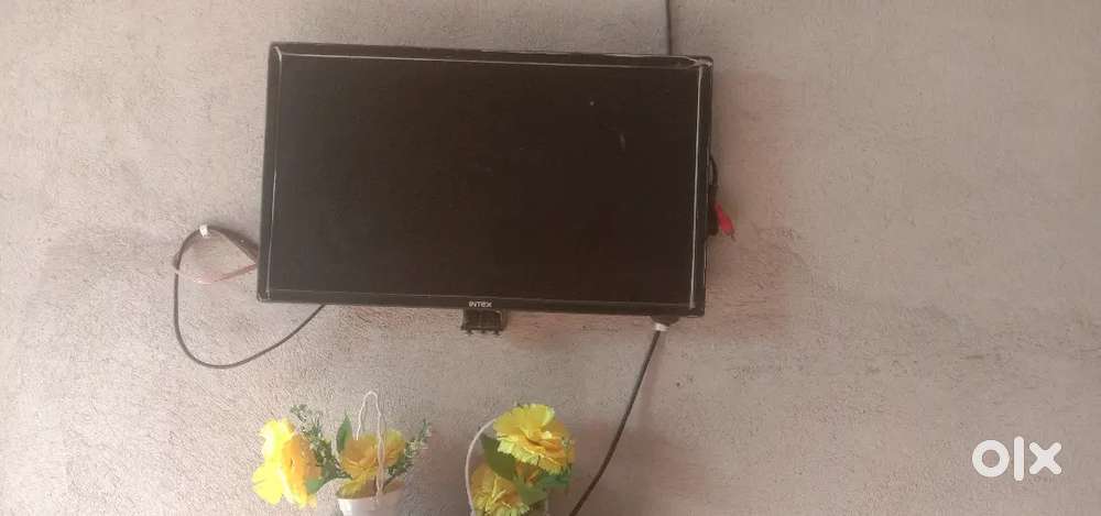 Led tv 2 year old