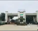 2BHK Apartment For Rent, in Tulsi