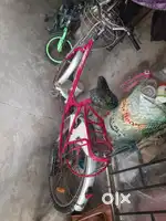 Miss India Gold bicycle