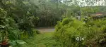 On Changnacherry- Vazhoor Road