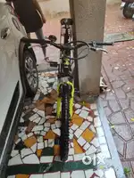 Frog Cycle Neon Yellow colour