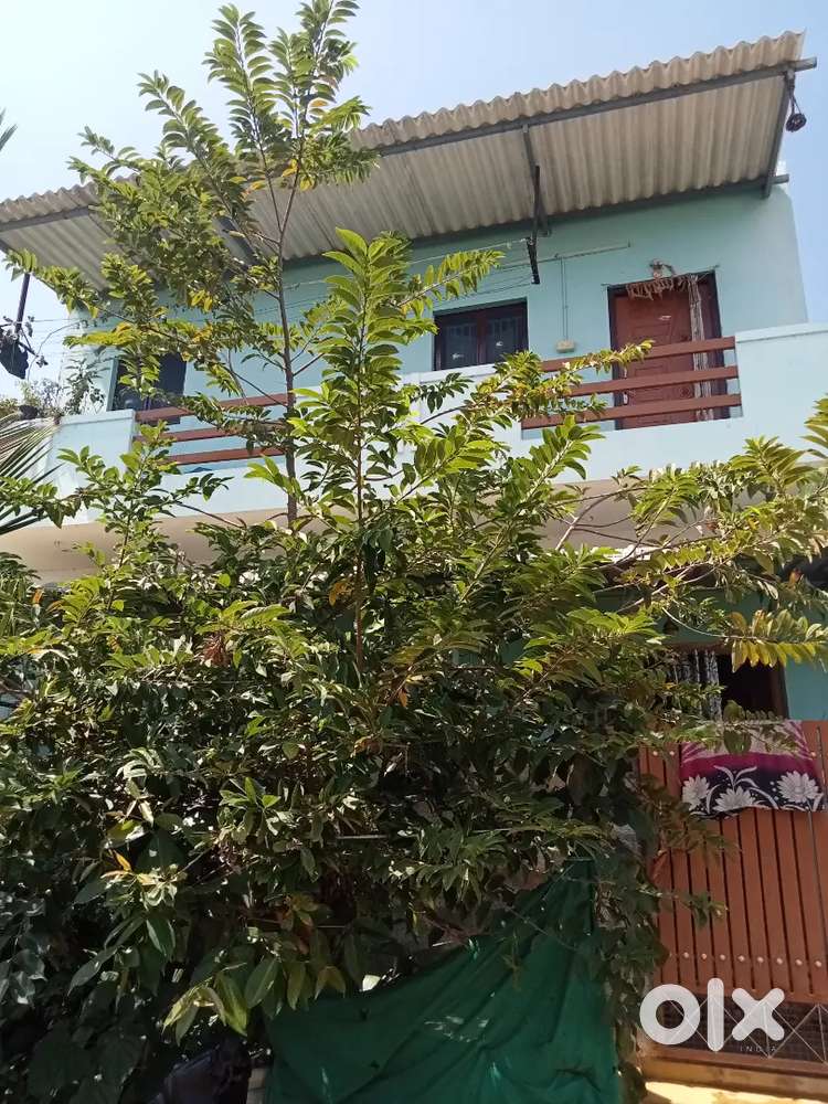 ஸெட் ஹோம் போர் sale