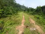 I want sale 25 bigha aksoniya plot
