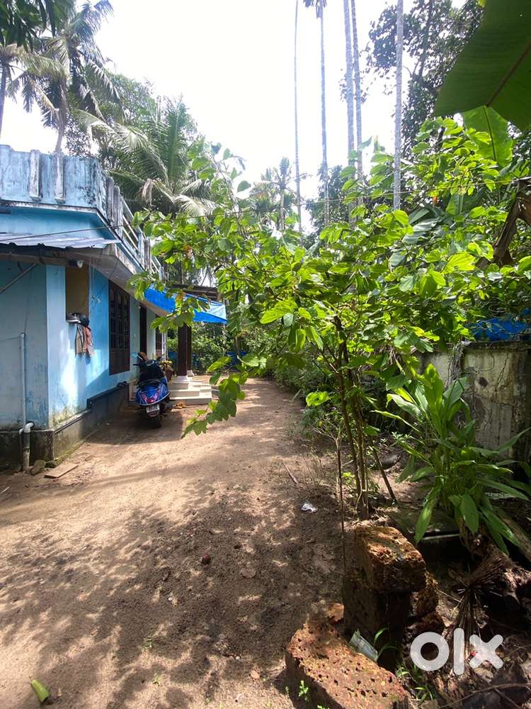 900sq  old house located on 9cents right on MLA road .south paravoor