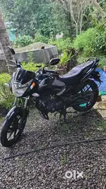 Black unicorn