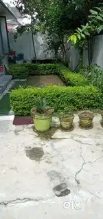 Residence office use 3bhk kothi balliwala chowk gms road k pass hai