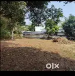 5 cent house plote for sale in kulathoor