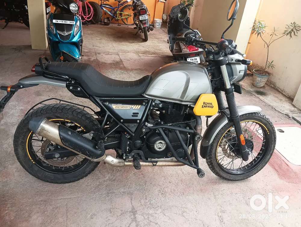 Himalayan scram 411