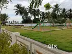 Launching Offer today book plots get exciting Offer