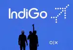 Now we are hiring for male female candidates in indigo Airlines job